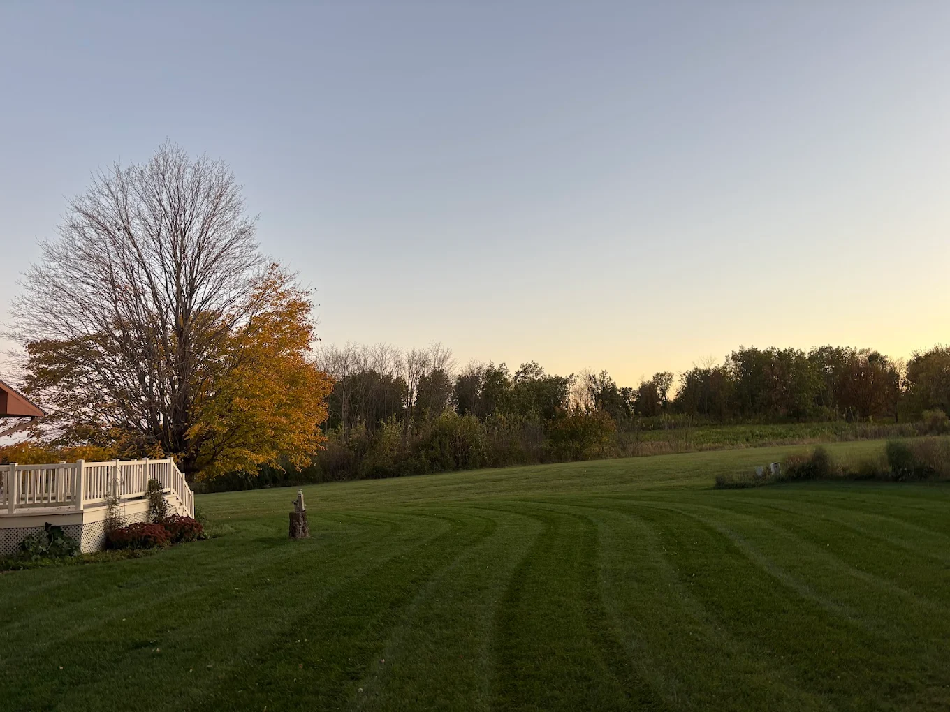 Expansive striped lawn at sunset