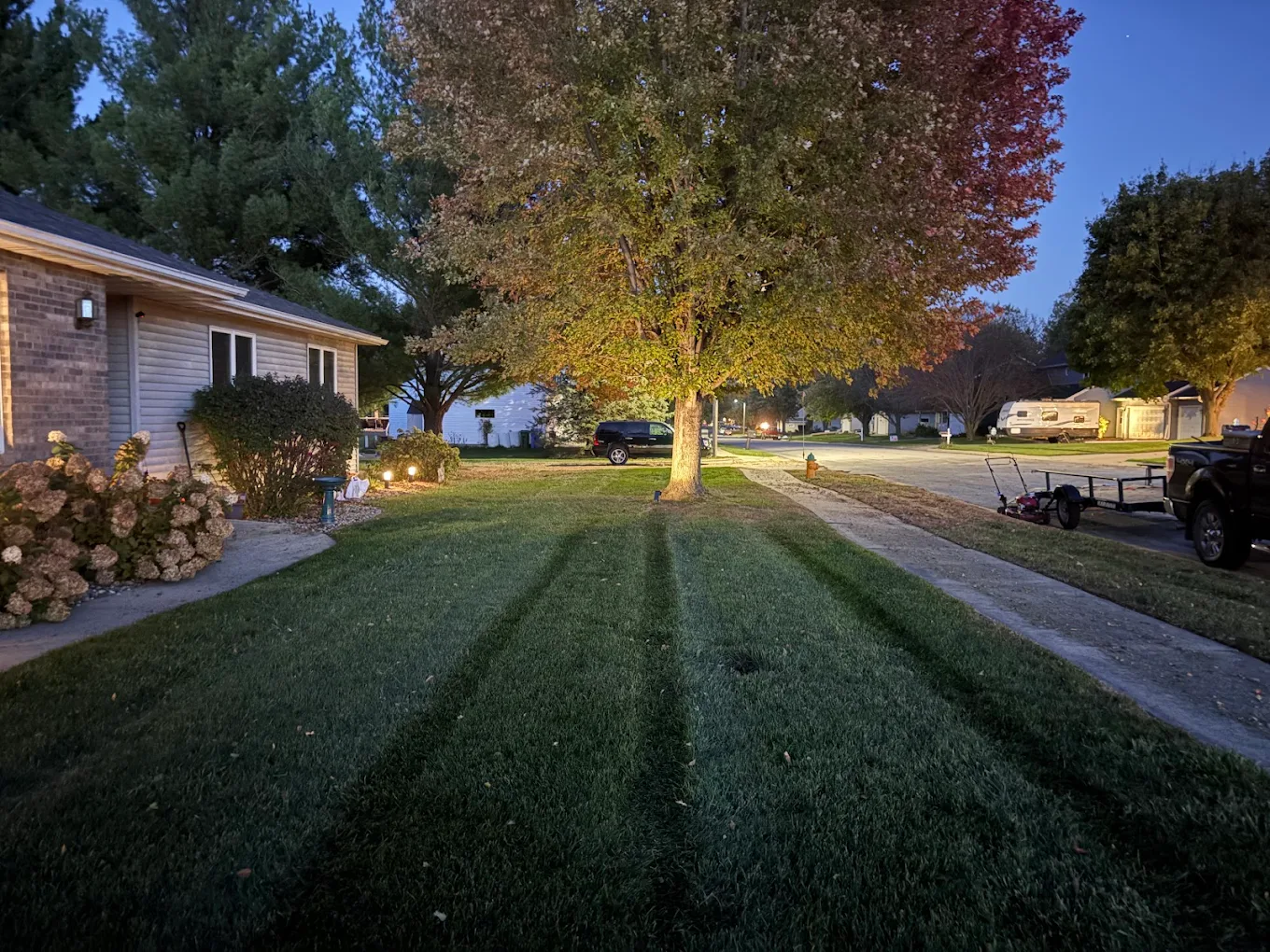 Freshly mowed lawn with crisp stripes at golden hour